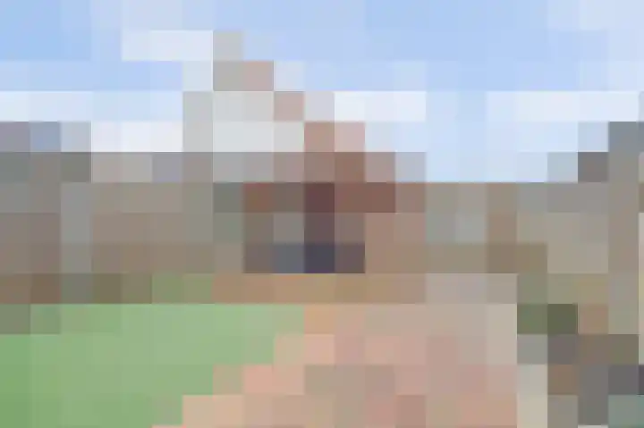 Dominee Bakkerushof 32 Hedel thumbnail 43