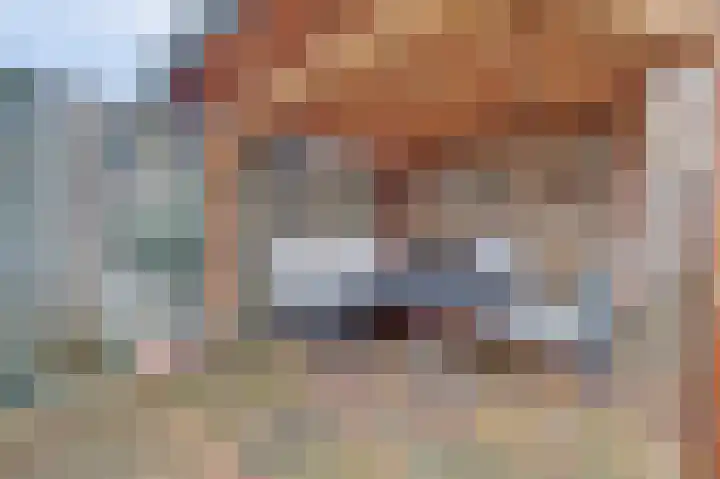 Dominee Bakkerushof 32 Hedel thumbnail 44