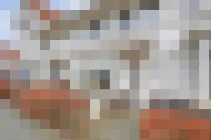 Dominee Bakkerushof 32 Hedel thumbnail 47