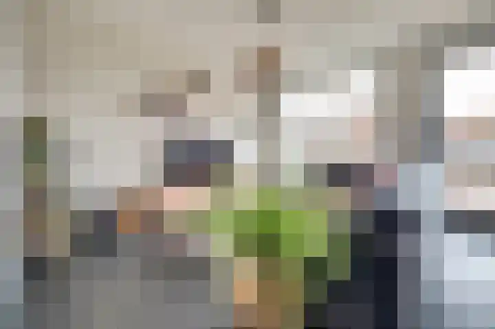 Dominee Bakkerushof 32 Hedel thumbnail 5