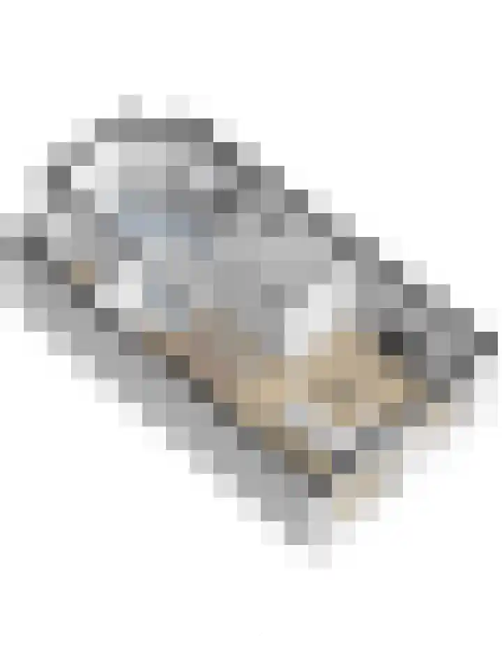 Dominee Bakkerushof 32 Hedel thumbnail 56