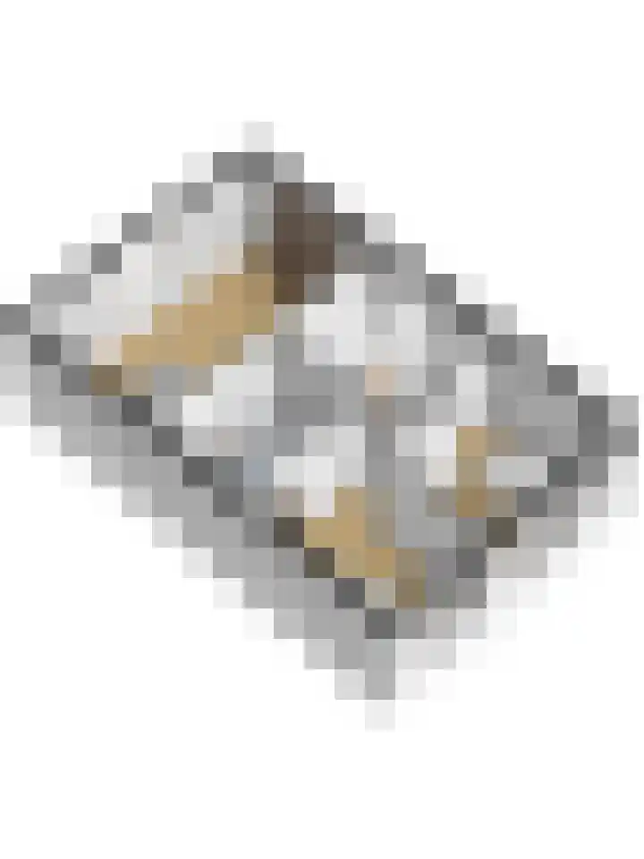 Dominee Bakkerushof 32 Hedel thumbnail 57
