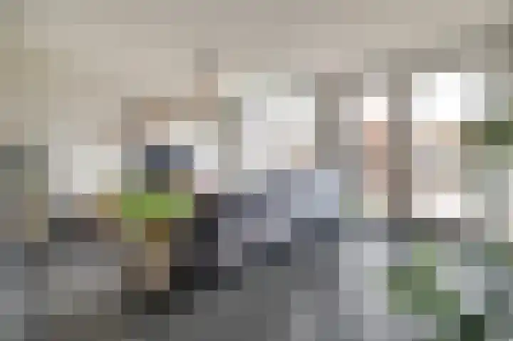 Dominee Bakkerushof 32 Hedel thumbnail 7