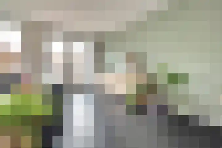 Dominee Bakkerushof 32 Hedel thumbnail 9