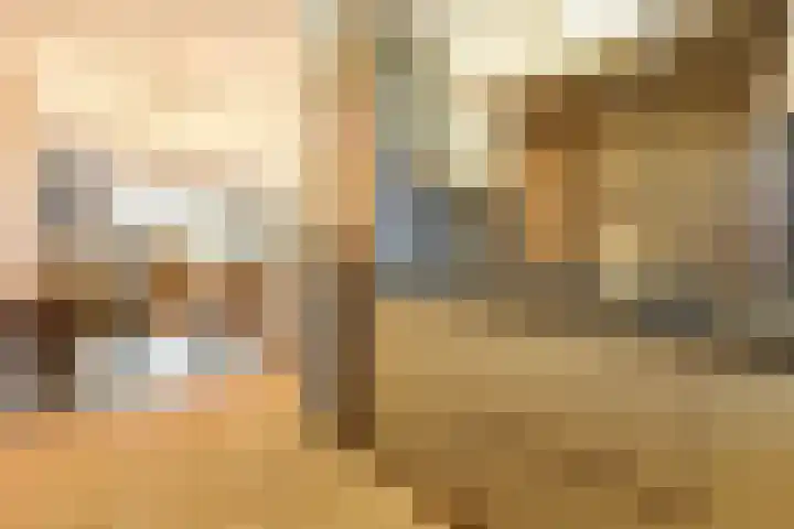 Dominee Bakkerushof 33 Hedel thumbnail 10