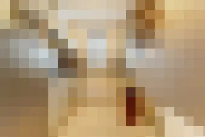 Dominee Bakkerushof 33 Hedel thumbnail 12