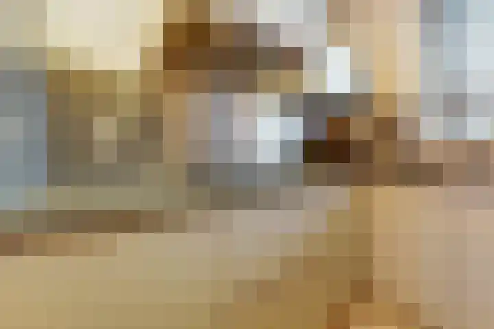 Dominee Bakkerushof 33 Hedel thumbnail 13