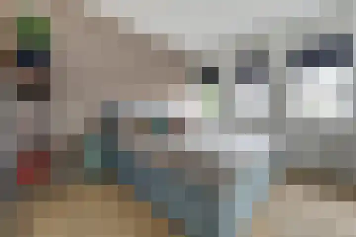 Dominee Bakkerushof 33 Hedel thumbnail 17