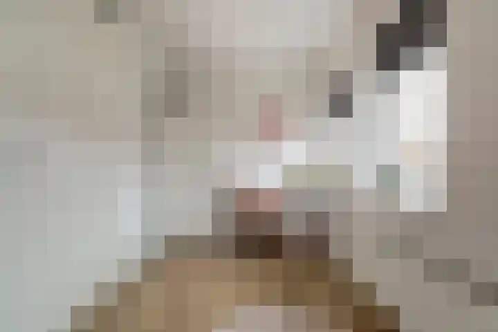 Dominee Bakkerushof 33 Hedel thumbnail 21