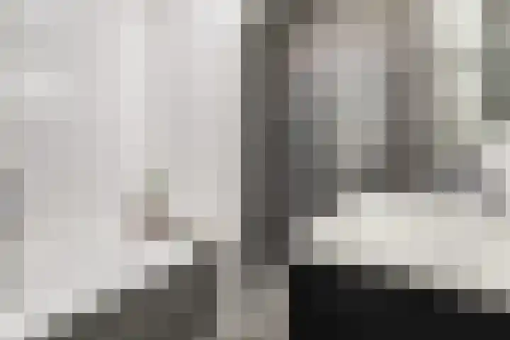 Dominee Bakkerushof 33 Hedel thumbnail 22