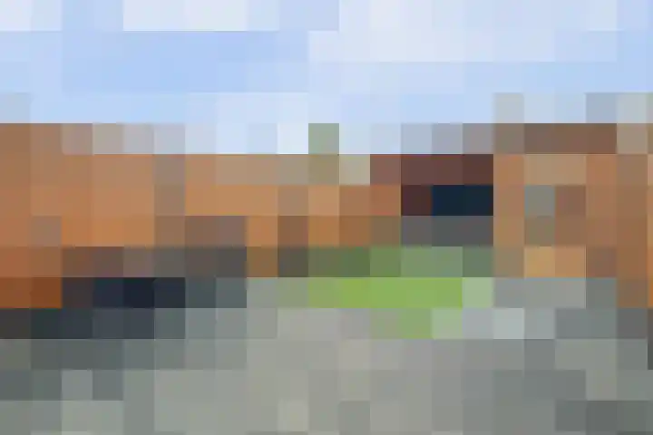 Dominee Bakkerushof 33 Hedel thumbnail 32