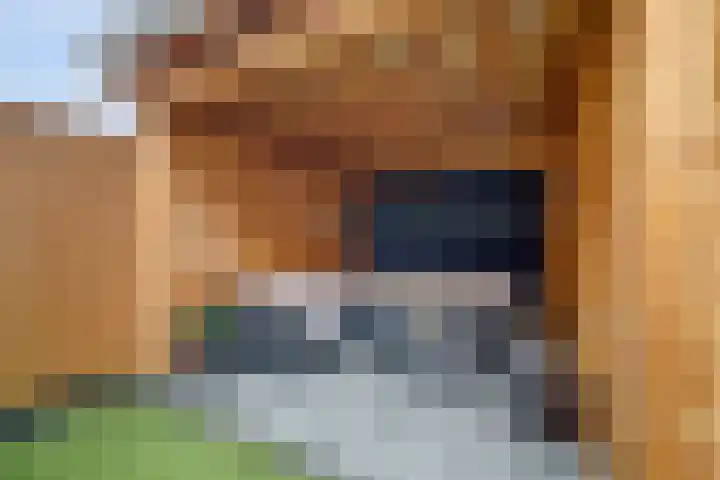 Dominee Bakkerushof 33 Hedel thumbnail 33