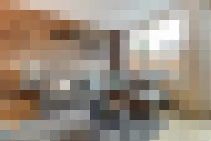 Dominee Bakkerushof 33 Hedel thumbnail 4