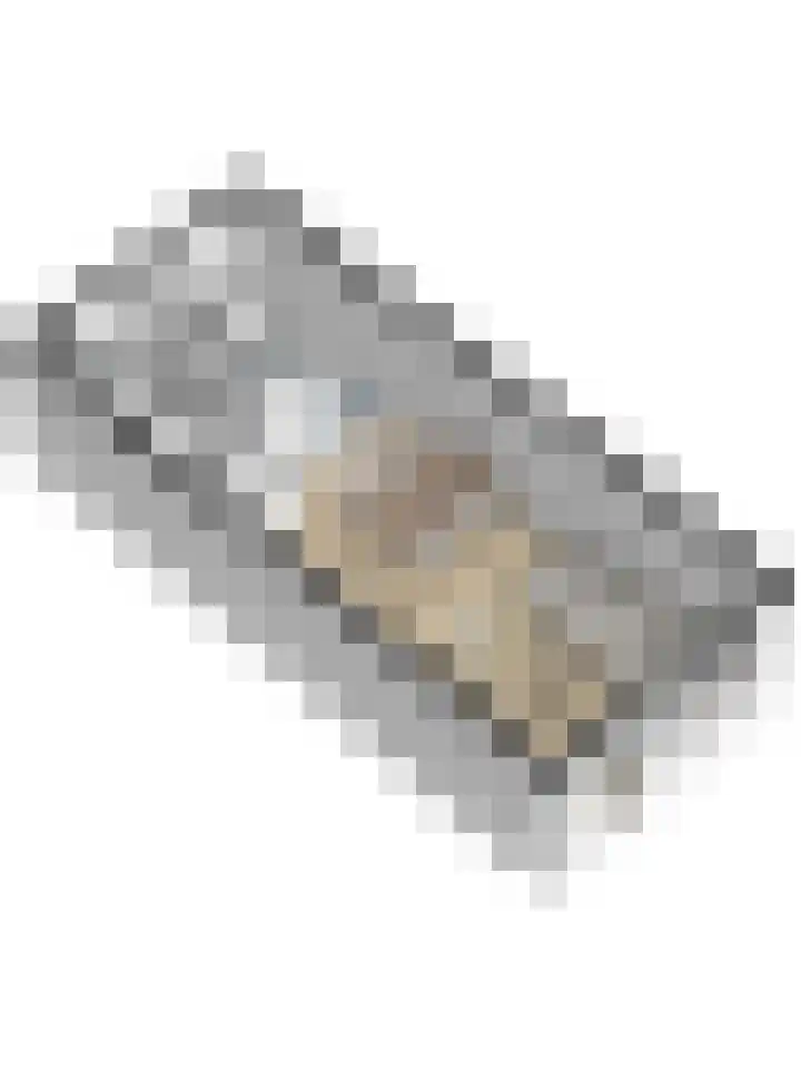 Dominee Bakkerushof 33 Hedel thumbnail 44