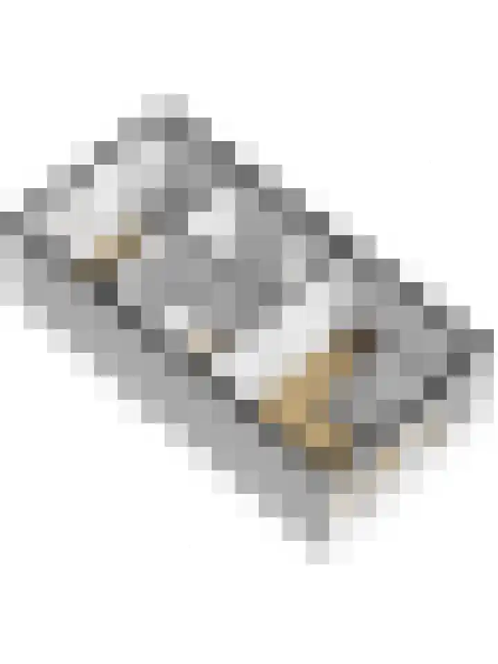 Dominee Bakkerushof 33 Hedel thumbnail 45