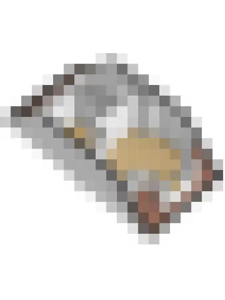 Dominee Bakkerushof 33 Hedel thumbnail 46