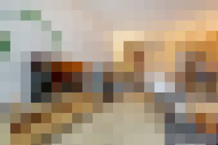 Dominee Bakkerushof 33 Hedel thumbnail 6