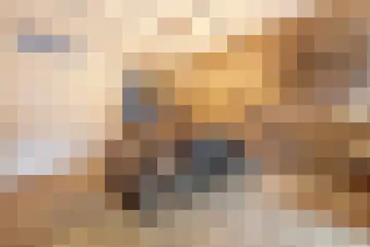 Dominee Bakkerushof 33 Hedel thumbnail 9