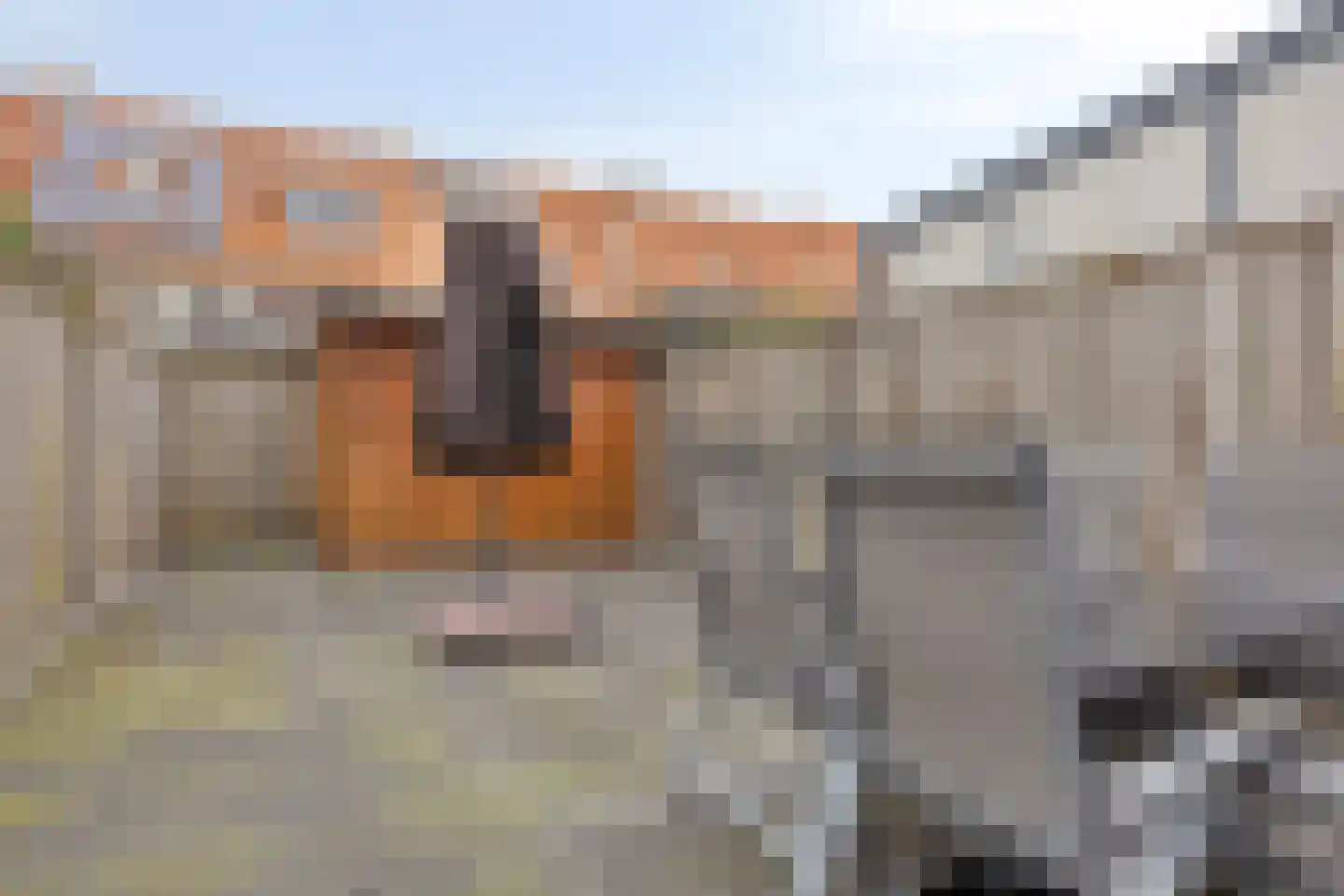 Dominee Bakkerushof 48 Hedel thumbnail 23