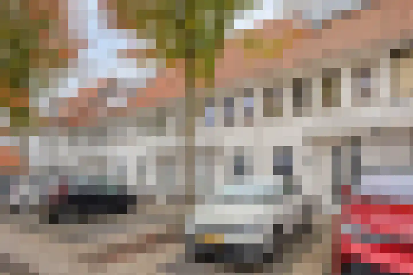 Dominee Bakkerushof 48 Hedel thumbnail 28