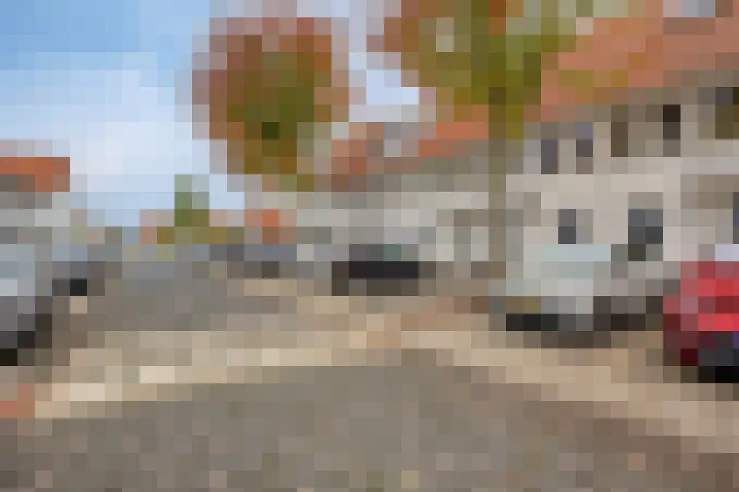 Dominee Bakkerushof 48 Hedel thumbnail 30