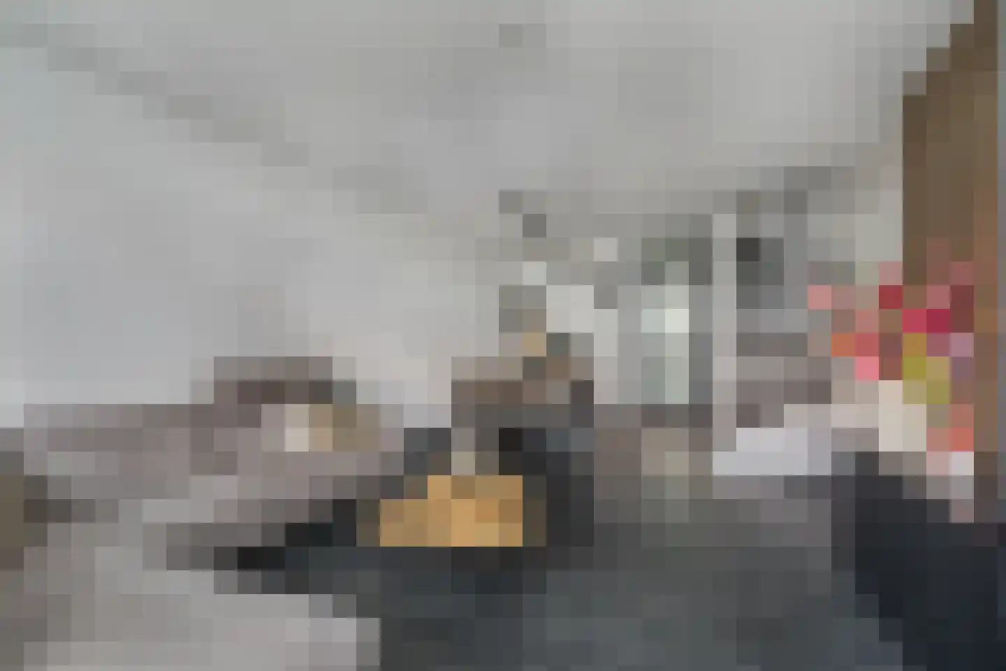 Dominee Bakkerushof 52 Hedel thumbnail 11
