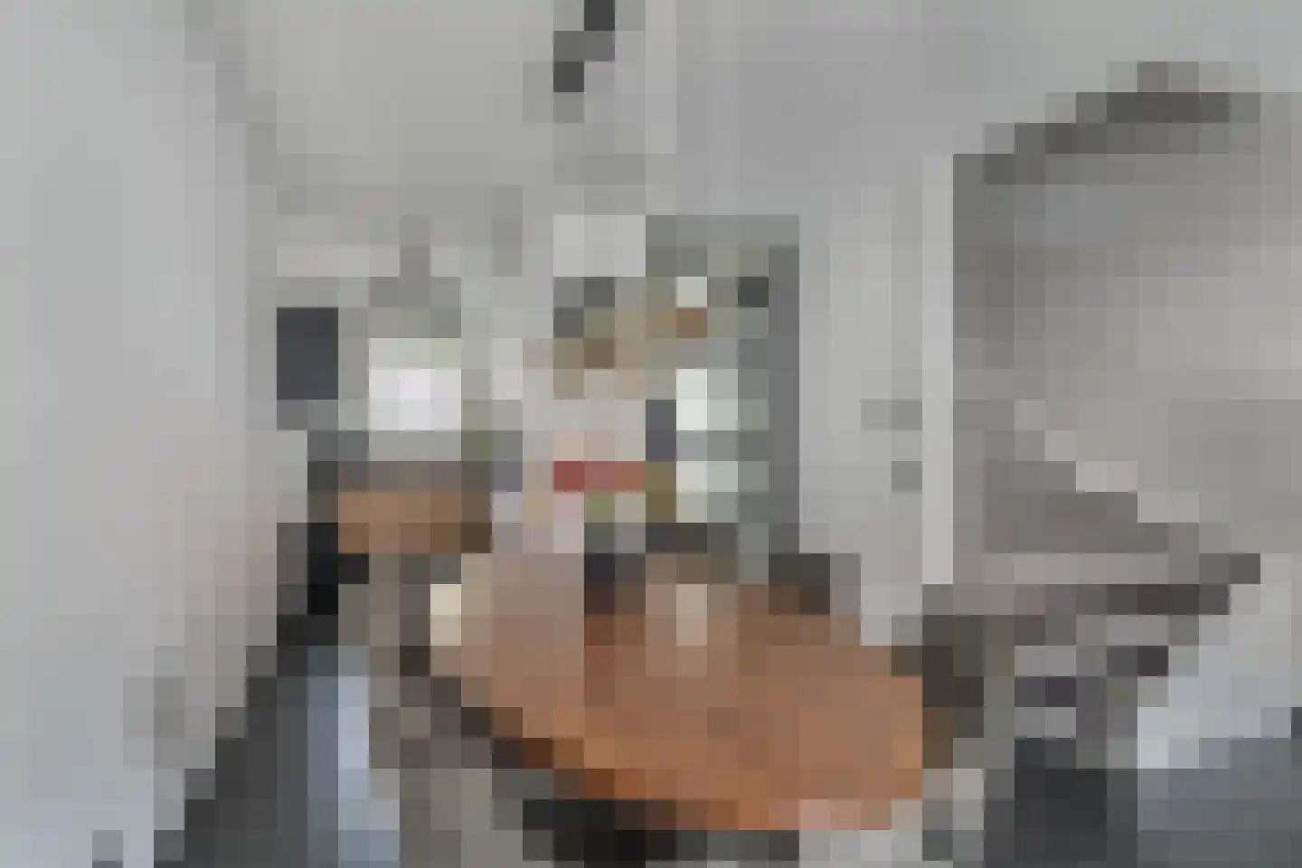 Dominee Bakkerushof 52 Hedel thumbnail 12