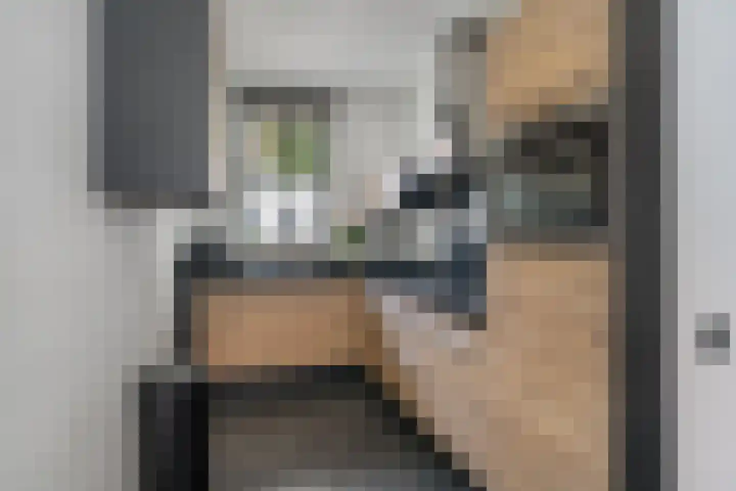 Dominee Bakkerushof 52 Hedel thumbnail 13