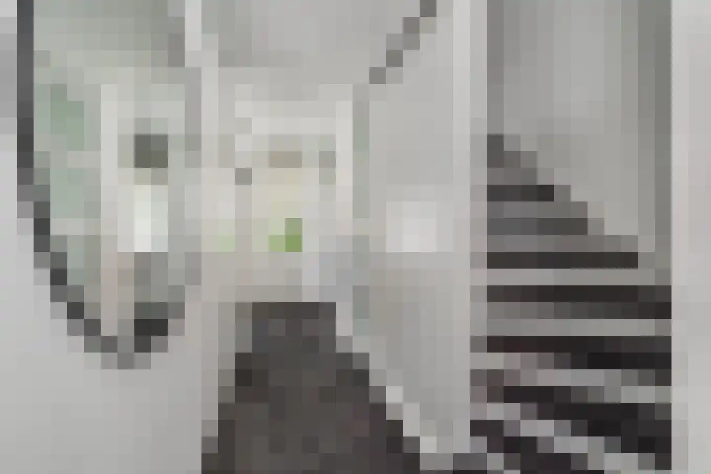 Dominee Bakkerushof 52 Hedel thumbnail 15