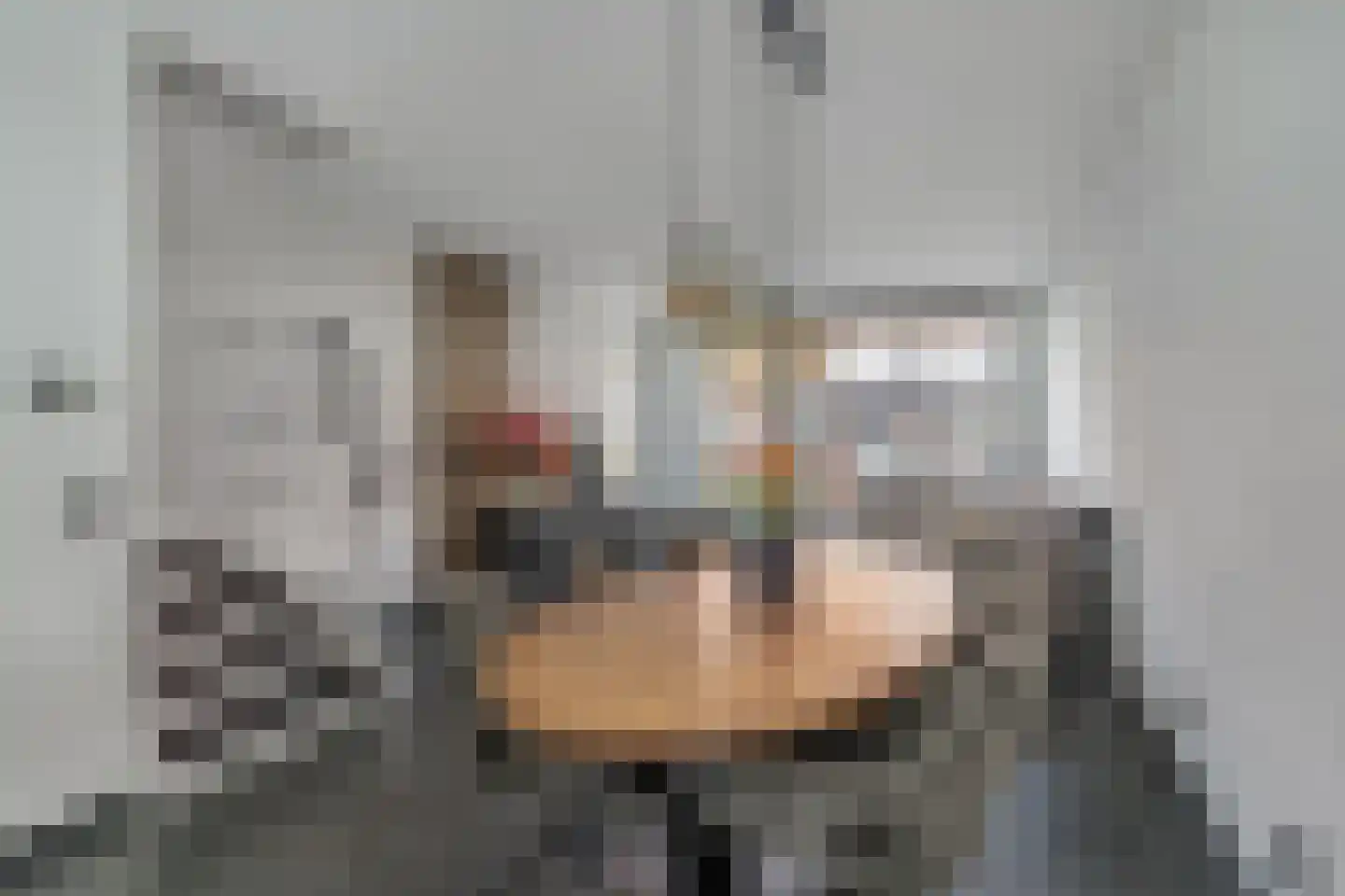 Dominee Bakkerushof 52 Hedel foto 2