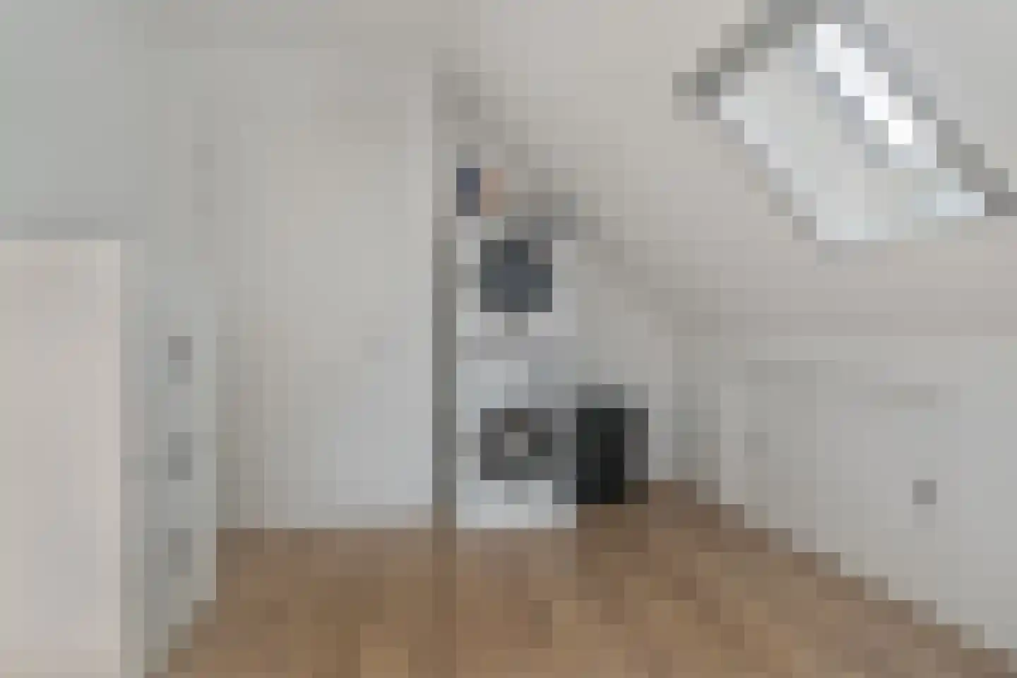 Dominee Bakkerushof 52 Hedel thumbnail 23