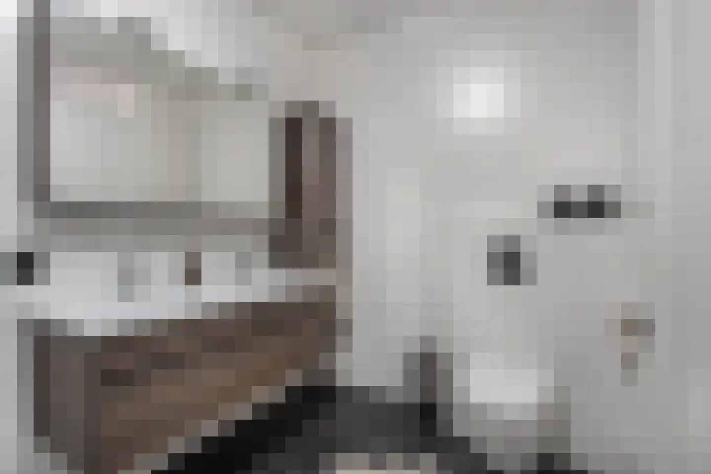 Dominee Bakkerushof 52 Hedel thumbnail 4