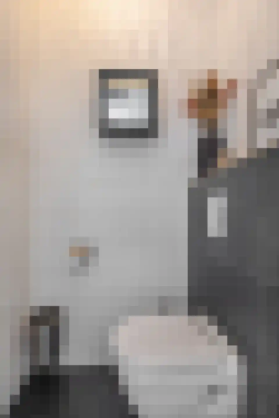 Dominee Bakkerushof 52 Hedel thumbnail 8