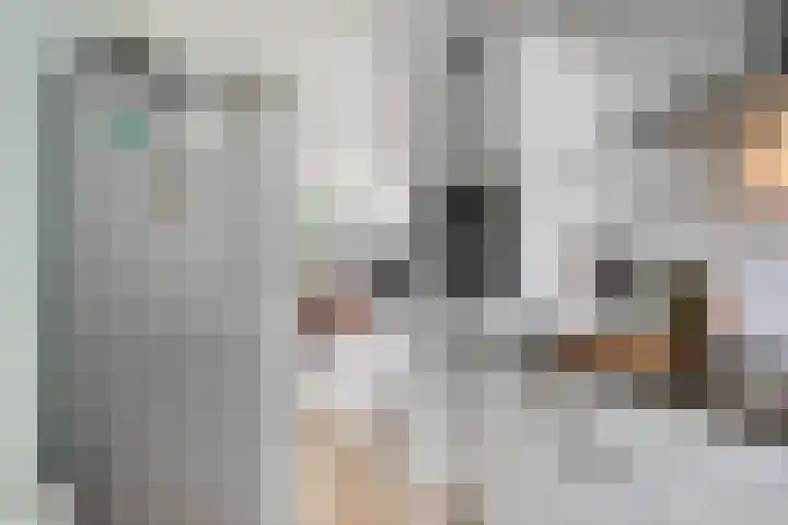 Dominee Bakkerushof 63 Hedel thumbnail 11