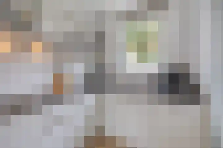 Dominee Bakkerushof 63 Hedel thumbnail 12