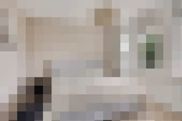 Dominee Bakkerushof 63 Hedel thumbnail 15