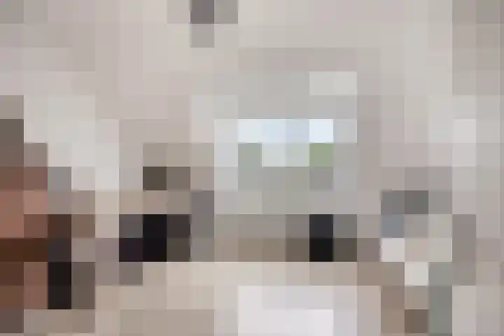 Dominee Bakkerushof 63 Hedel thumbnail 21