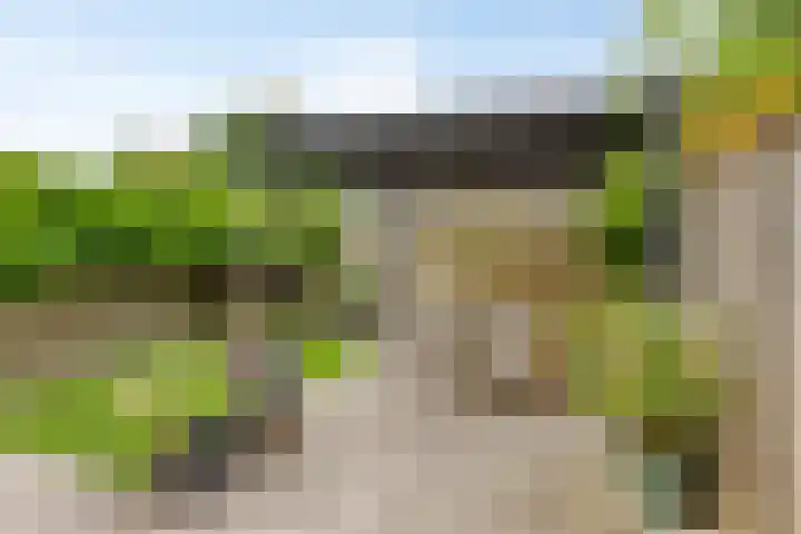 Dominee Bakkerushof 63 Hedel thumbnail 26
