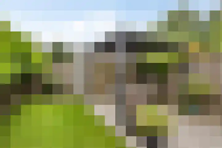 Dominee Bakkerushof 63 Hedel thumbnail 27