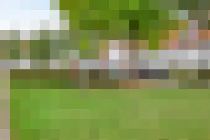 Dominee Bakkerushof 63 Hedel thumbnail 31
