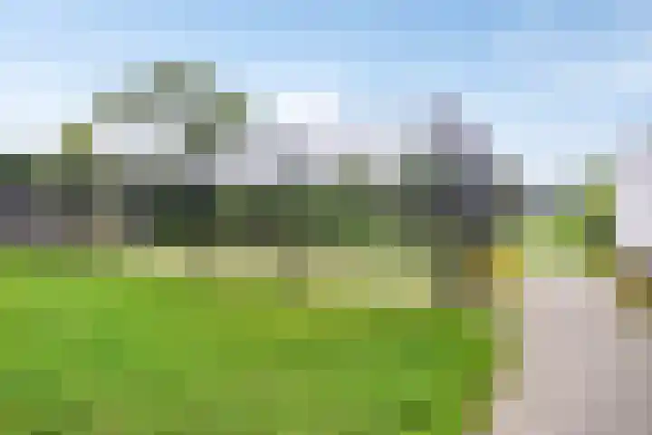 Dominee Bakkerushof 63 Hedel thumbnail 33