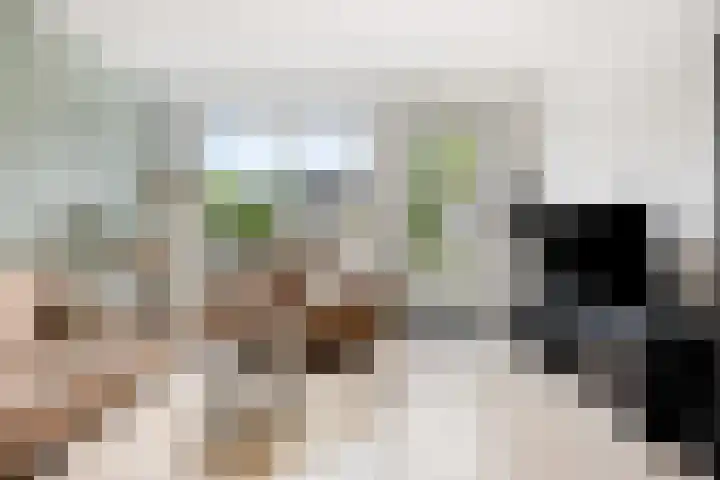 Dominee Bakkerushof 63 Hedel thumbnail 5