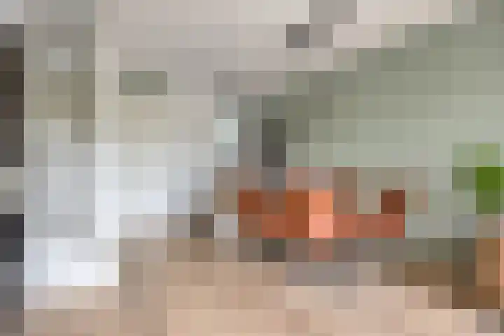 Dominee Bakkerushof 63 Hedel thumbnail 7