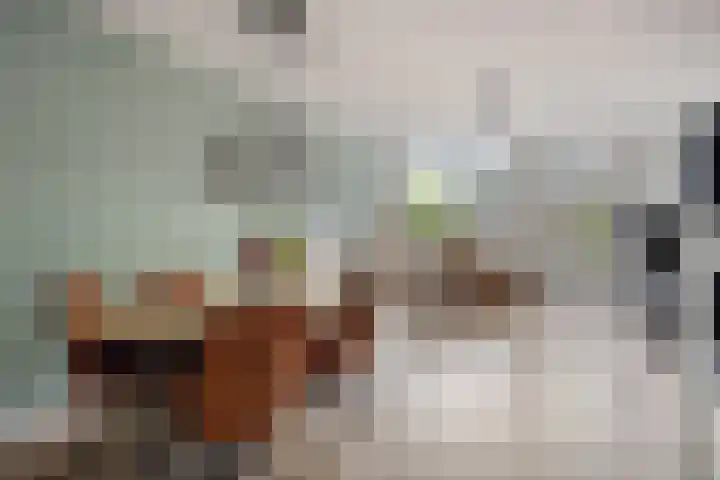 Dominee Bakkerushof 63 Hedel thumbnail 8