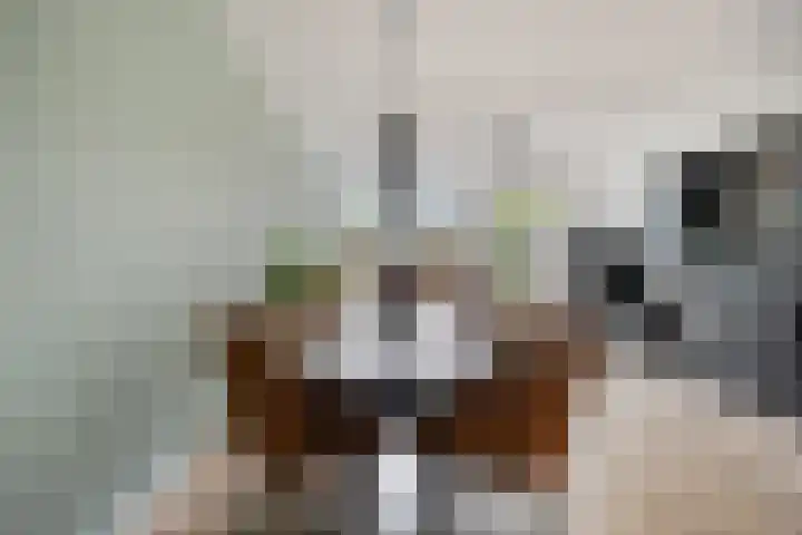 Dominee Bakkerushof 63 Hedel thumbnail 9