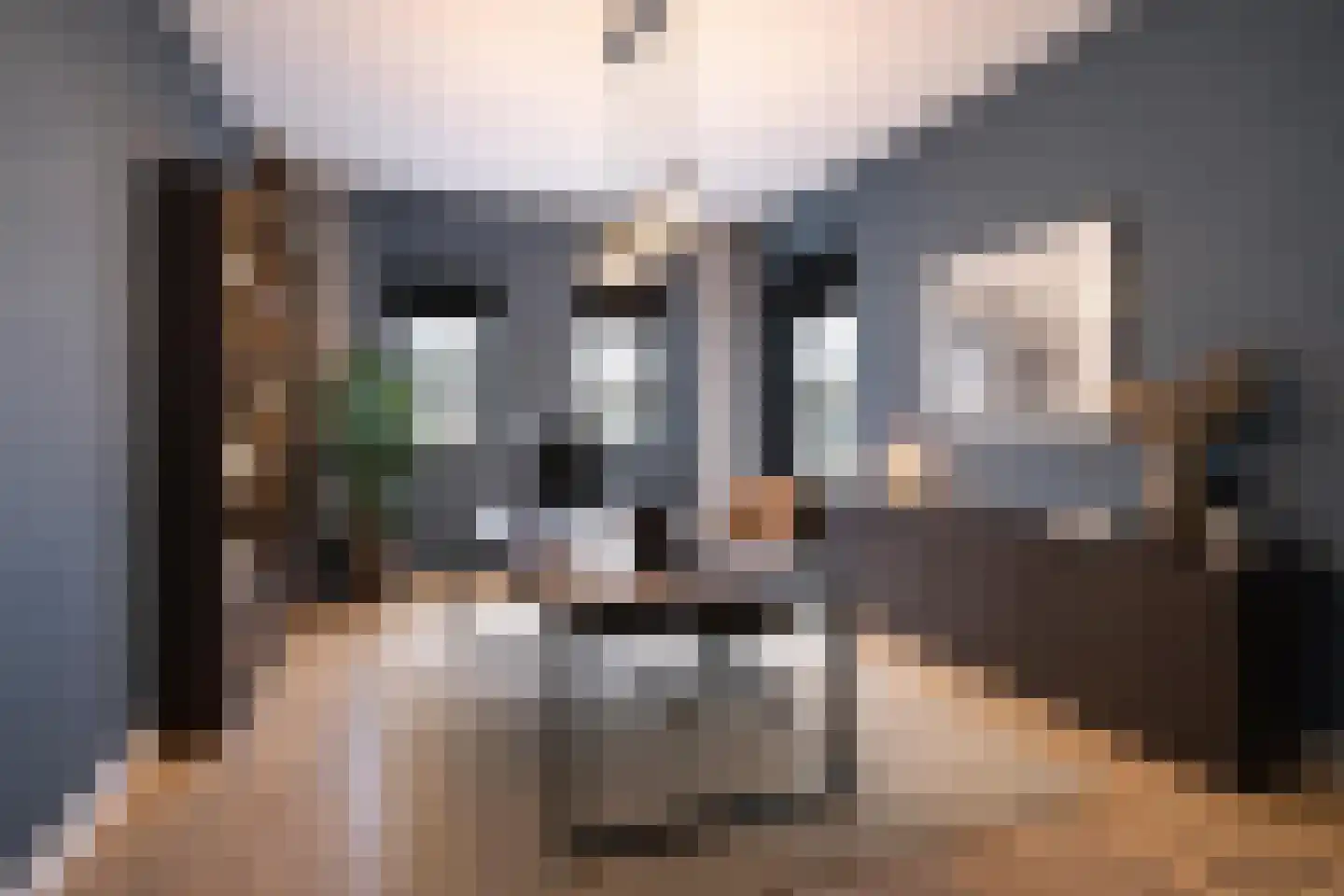 Dominee Beensstraat 9 Hedel thumbnail 18