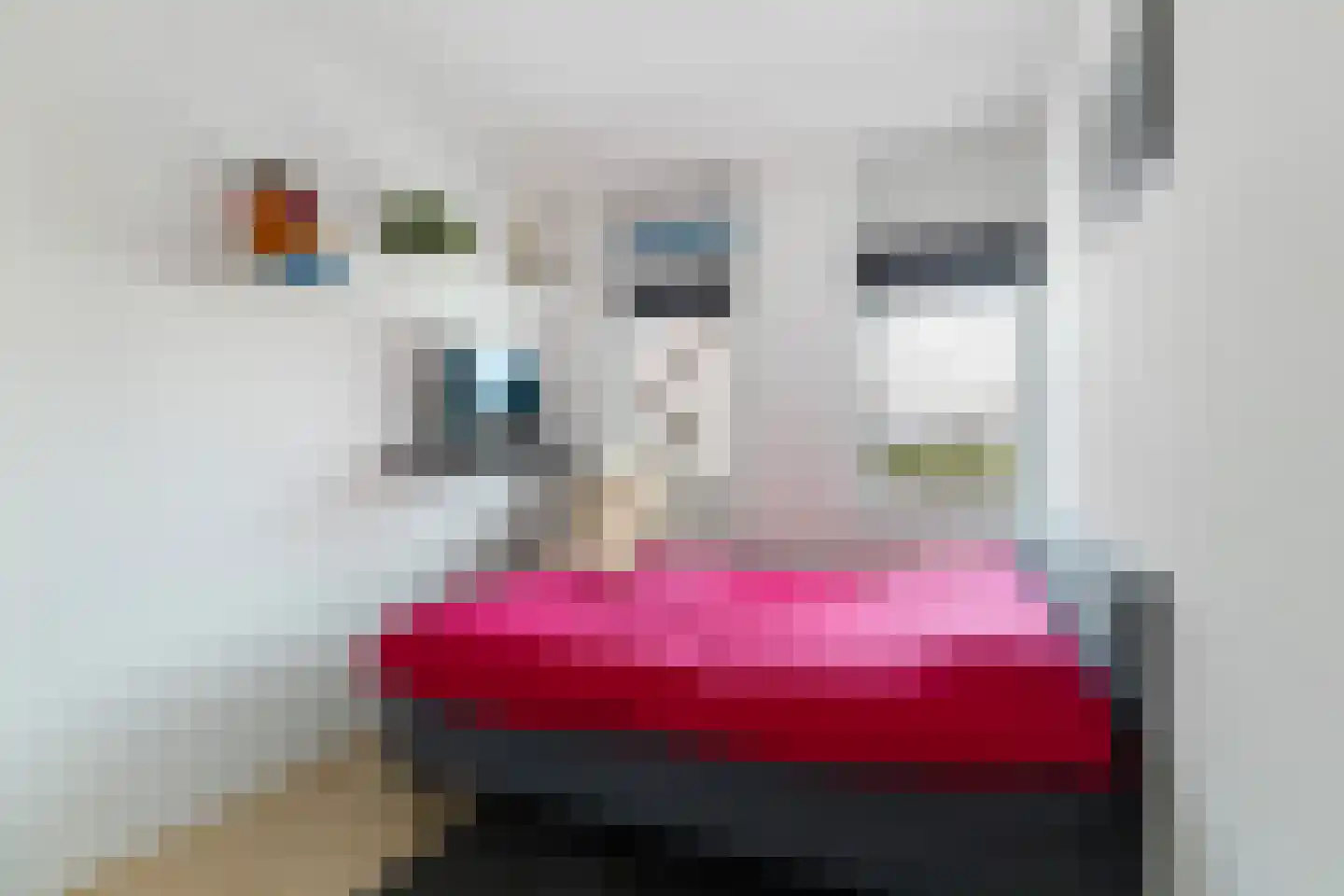 Dominee Beensstraat 9 Hedel thumbnail 23