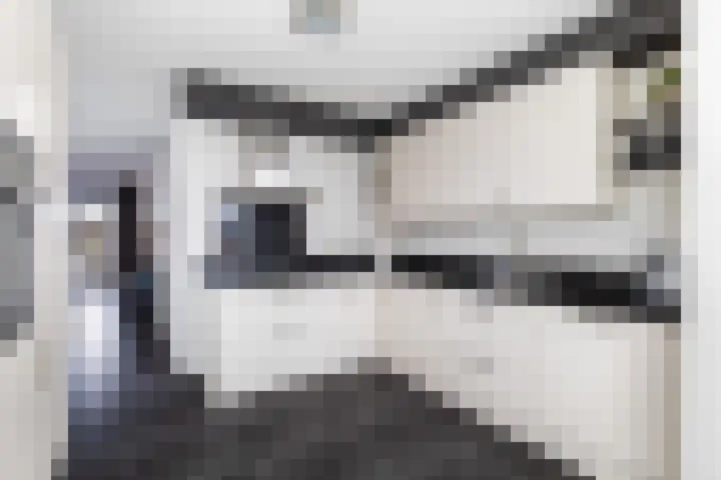 Dominee Beensstraat 9 Hedel thumbnail 8