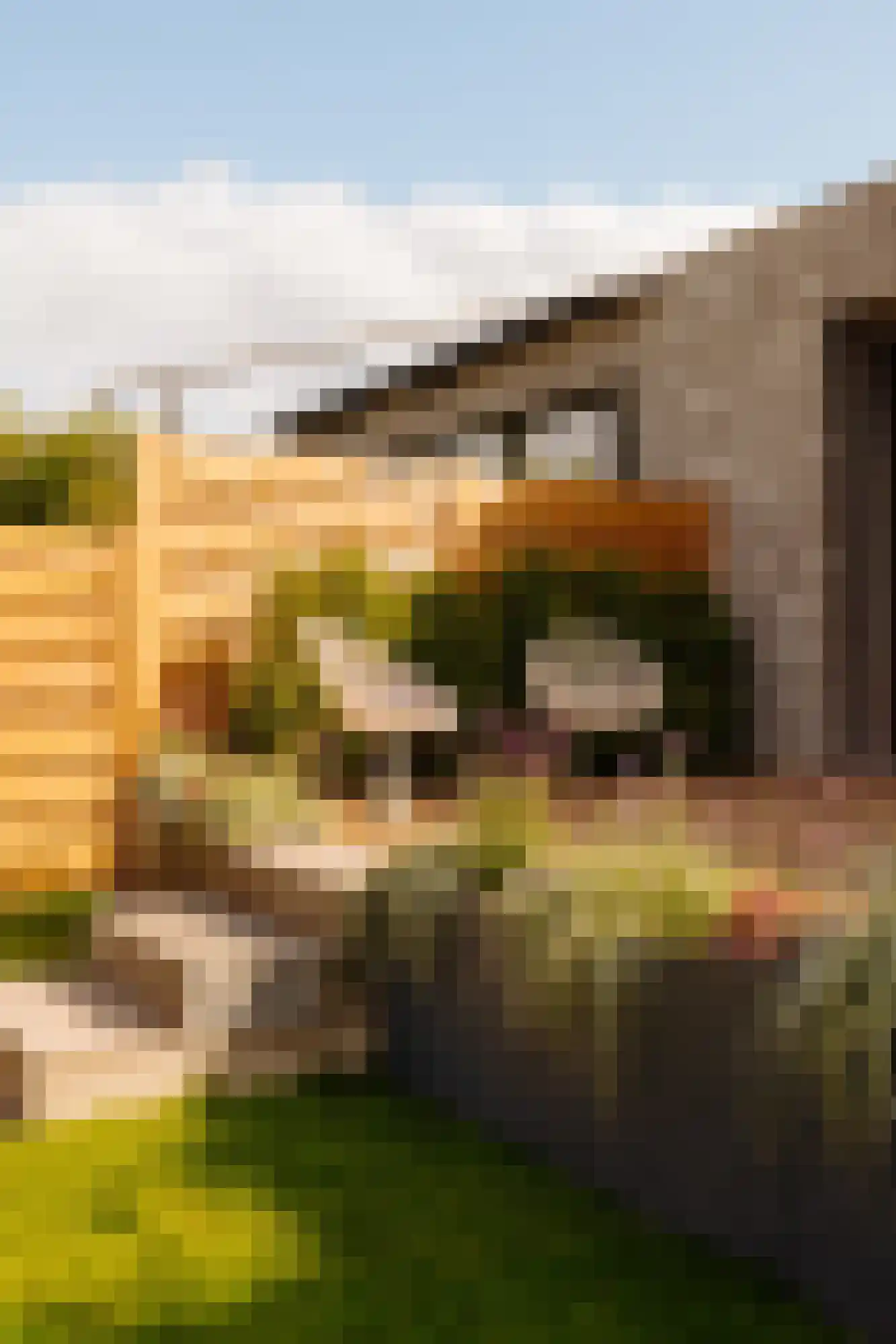 Dominee Bleekerhof 41 A Abcoude thumbnail 34
