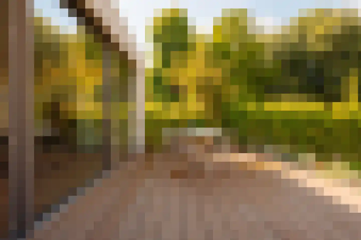 Dominee Bleekerhof 41 A Abcoude thumbnail 36